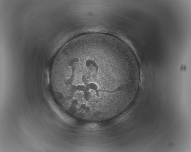 X0000112960061200909031032