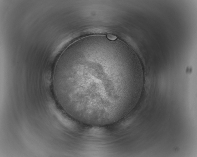 X0000112960063200909031032