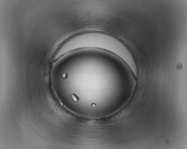 X0000112960064200909031032