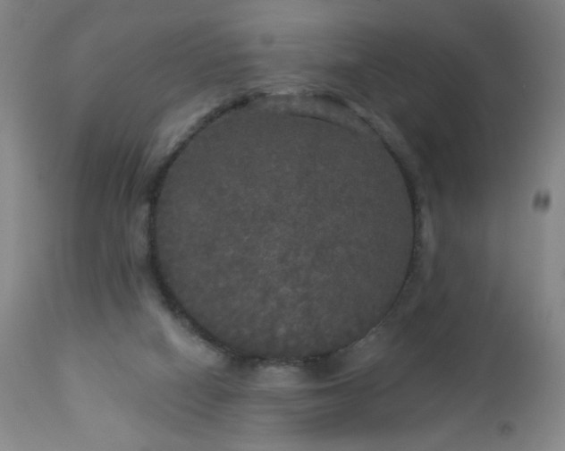 X0000112960066200909031032