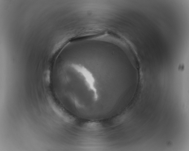 X0000112960067200909031032