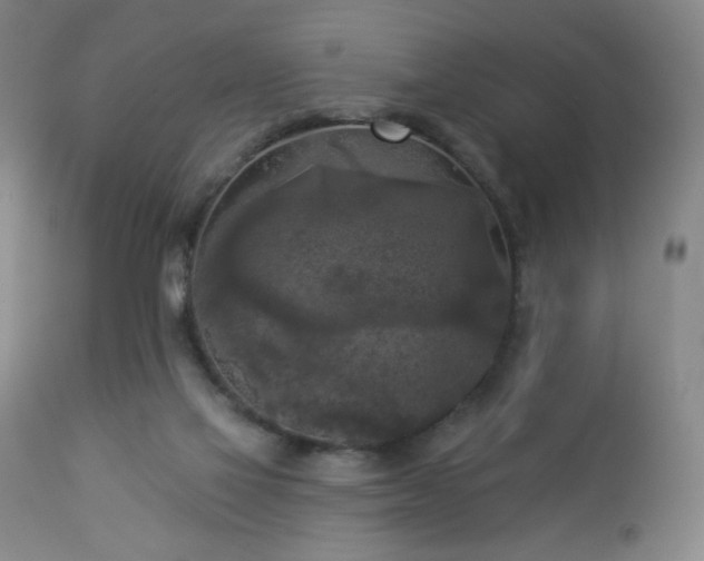 X0000112960069200909031032