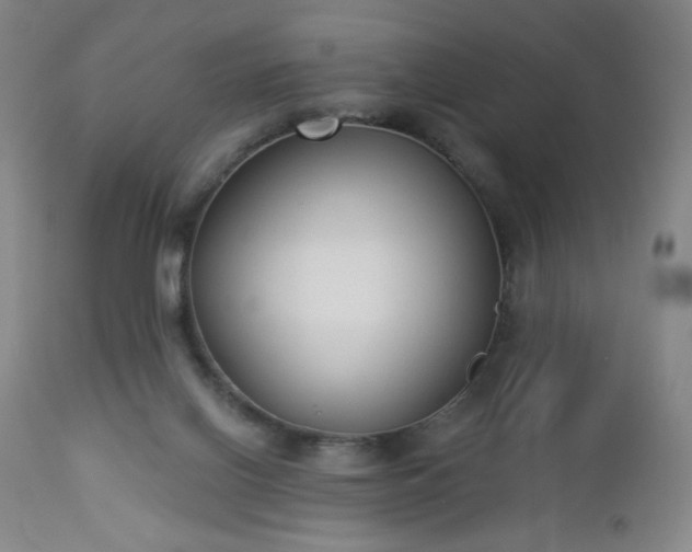 X0000112960070200909031032