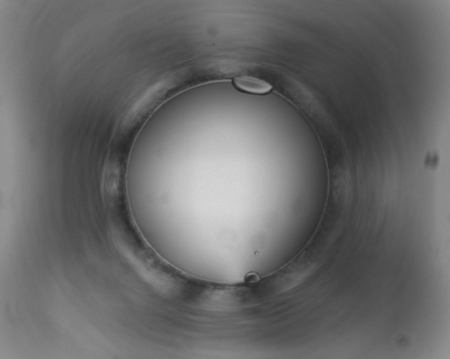 X0000112960072200909031032