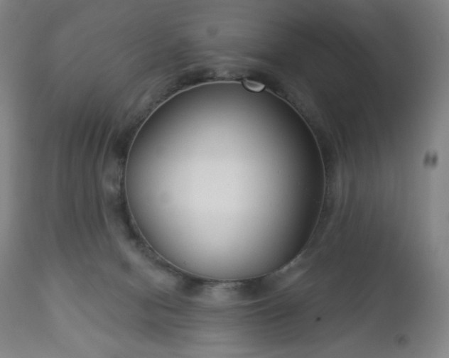 X0000112960078200909031032