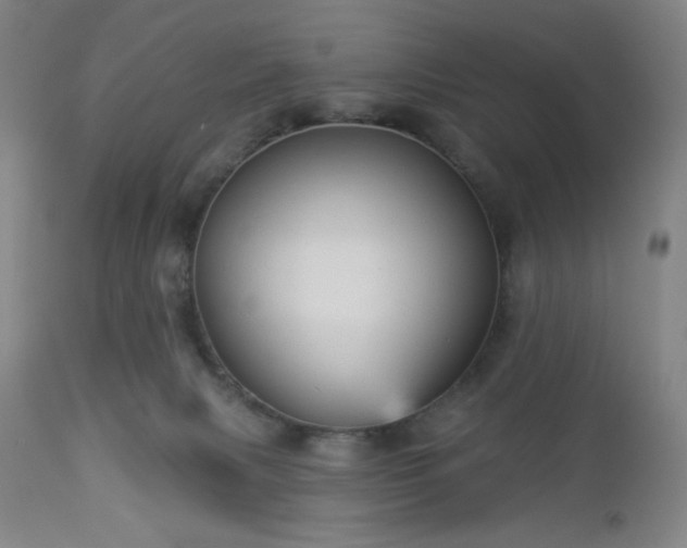 X0000112960079200909031032