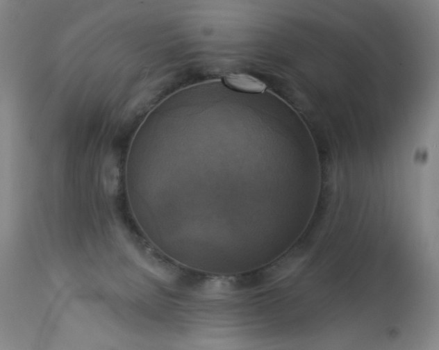 X0000112960080200909031032