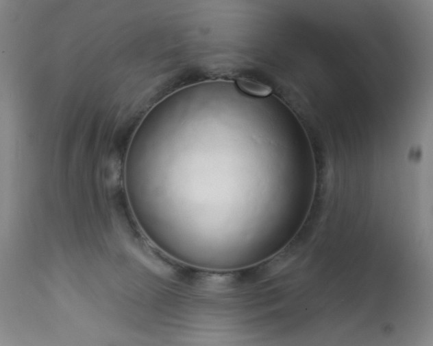 X0000112960081200909031032