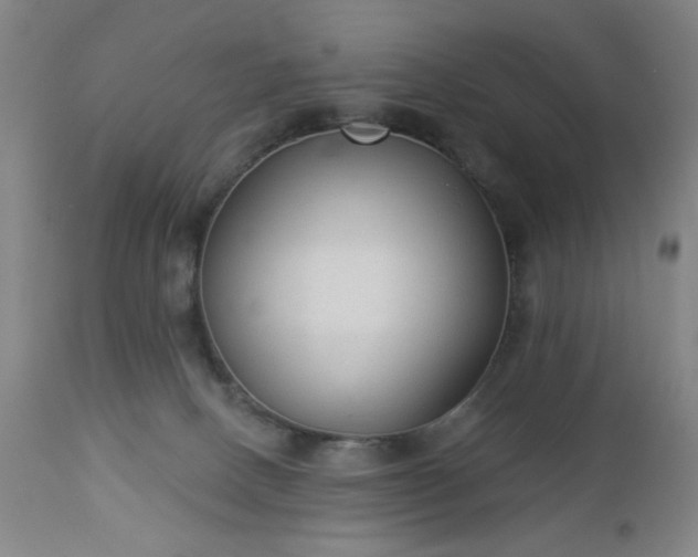 X0000112960082200909031032