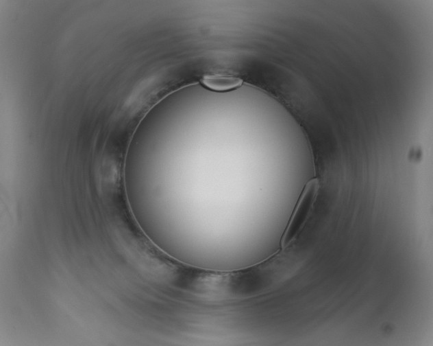 X0000112960084200909031032