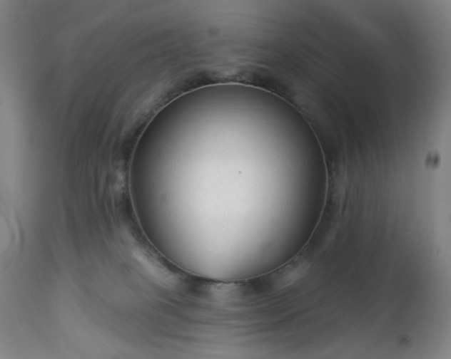 X0000112960085200909031032