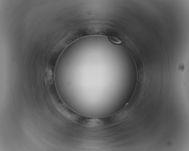 X0000112960087200909031032