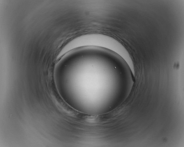 X0000112960088200909031032