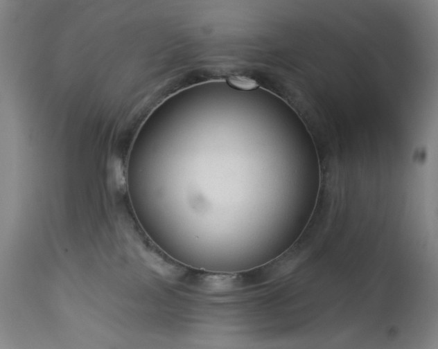 X0000112960089200909031032