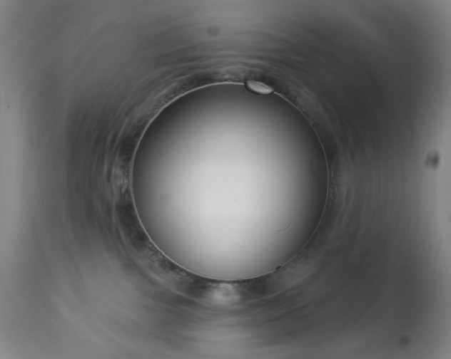 X0000112960091200909031032