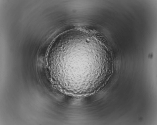 X0000112960093200909031032