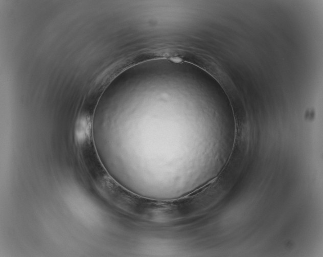 X0000112960095200909031032