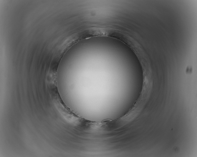 X0000112960096200909031032