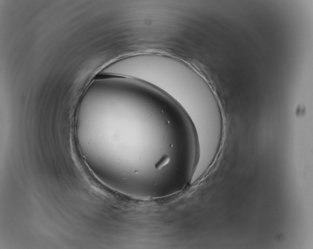 X0000112960097200909031031