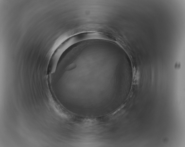 X0000112960099200909031031