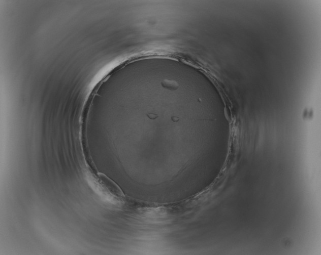 X0000112960100200909031031