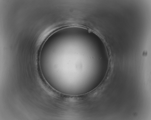 X0000112960103200909031031