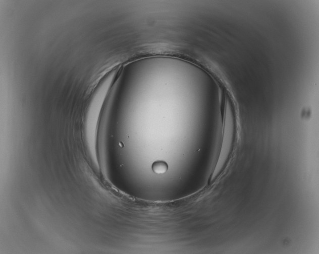 X0000112960105200909031031