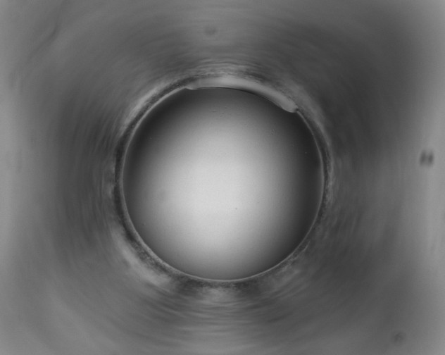 X0000112960107200909031031