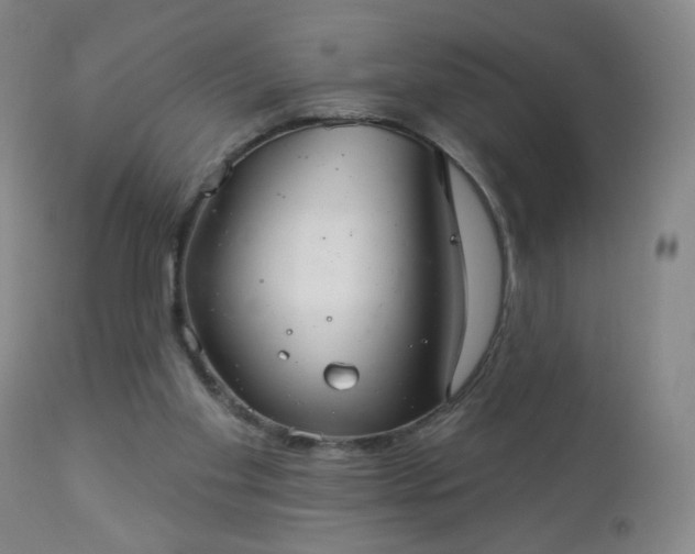 X0000112960109200909031031