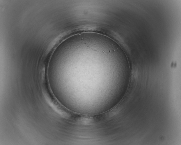 X0000112960110200909031031