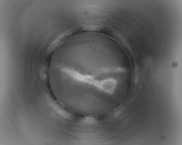 X0000112960114200909031031