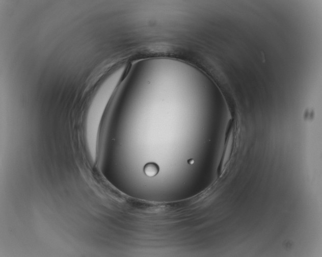 X0000112960116200909031031