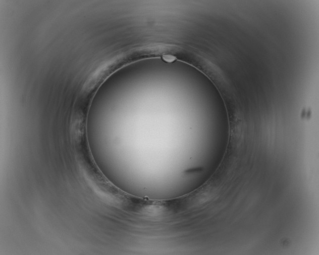 X0000112960119200909031031