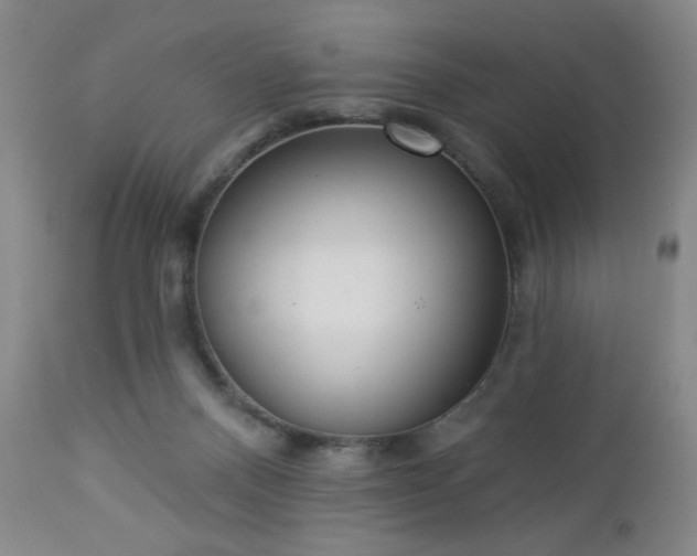 X0000112960120200909031031