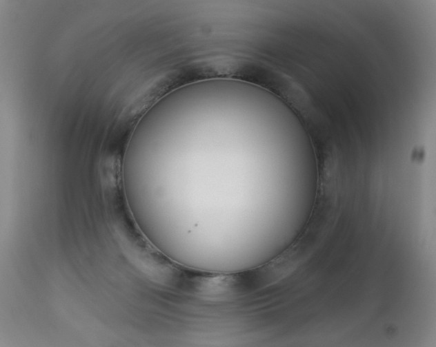 X0000112960122200909031031