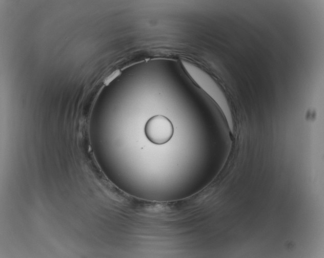 X0000112960125200909031031