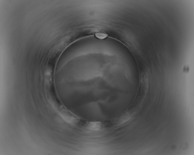 X0000112960127200909031031