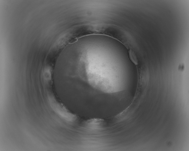 X0000112960128200909031031