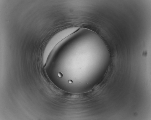 X0000112960129200909031031