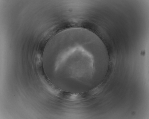 X0000112960130200909031031