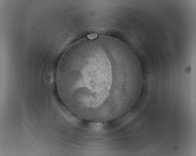 X0000112960131200909031031