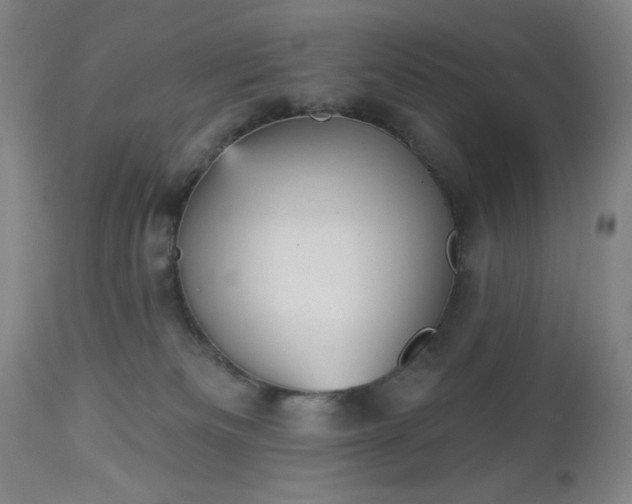 X0000112960133200909031031