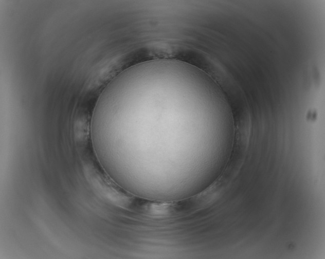 X0000112960134200909031031