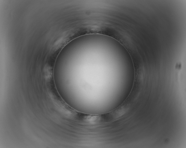 X0000112960135200909031031