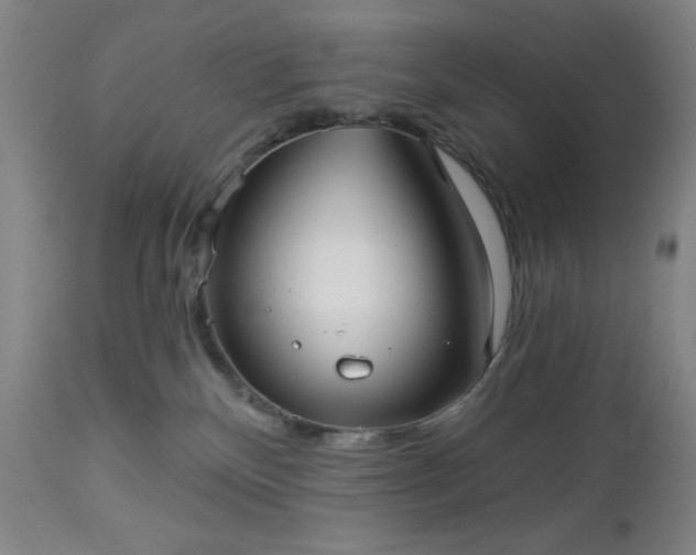 X0000112960136200909031031