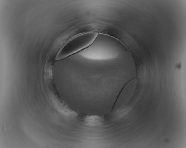 X0000112960137200909031031