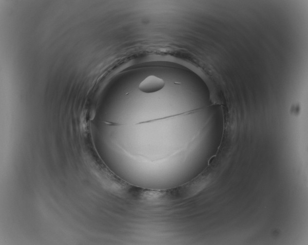 X0000112960139200909031031