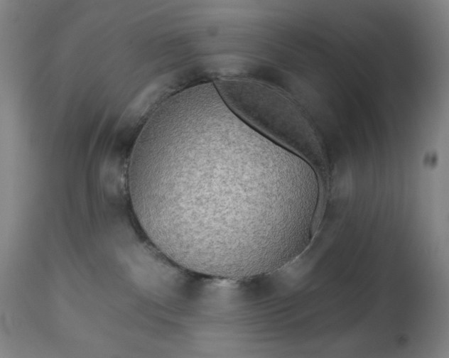 X0000112960140200909031031