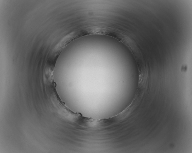 X0000112960142200909031031