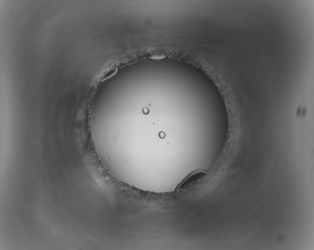 X0000112960144200909031031